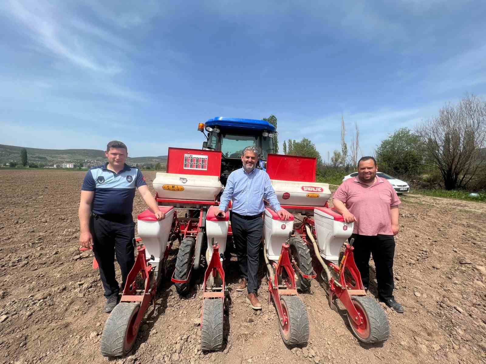 Gölpazarı'nda Yağlık Ayçiçeği Ekimi Yapıldı.