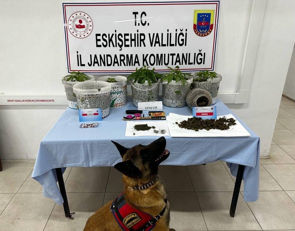 Eskişehir'de Narkotik Köpekli Operasyon: Uyuşturucu Yetiştirenler Yakalandı