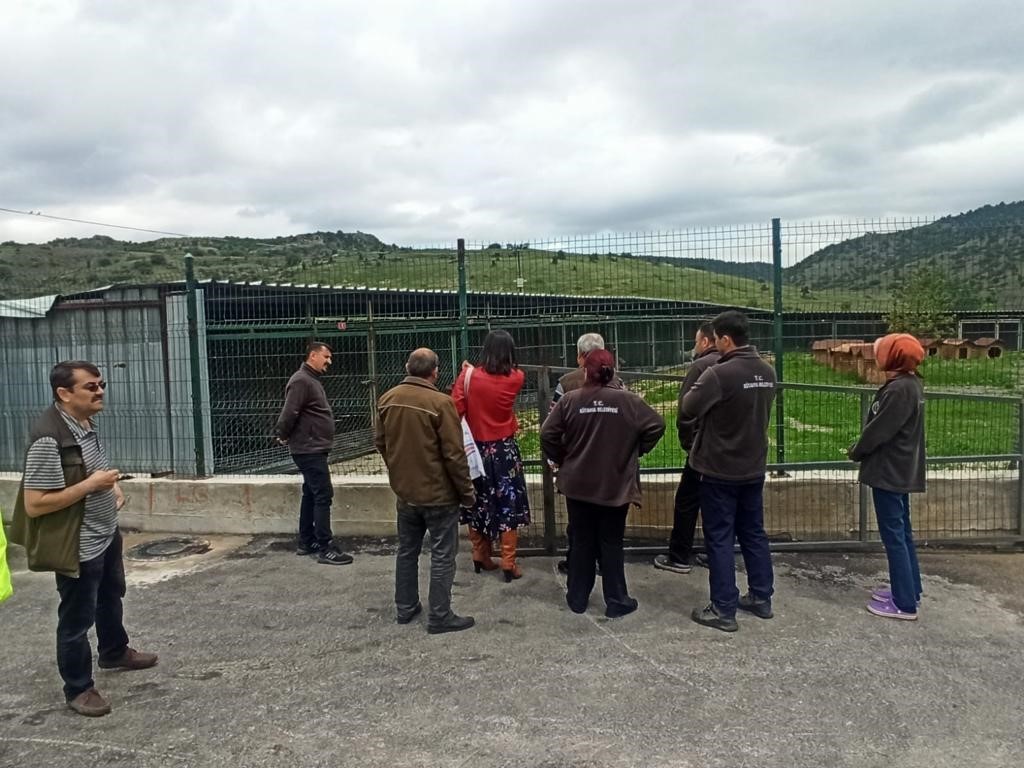 Kütahya Belediyesi Sokak Hayvanları Bakım Evi, Başarılı Bir Denetim Geçirdi