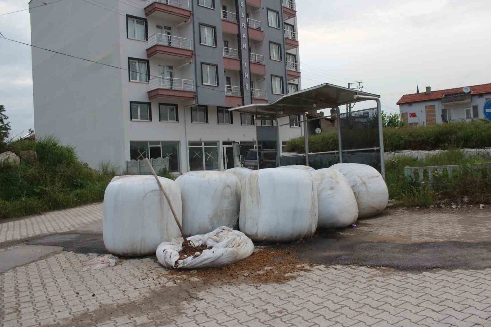 Erenler Mahallesi, Belediye Hizmetlerinden Yoksun Kalıyor.