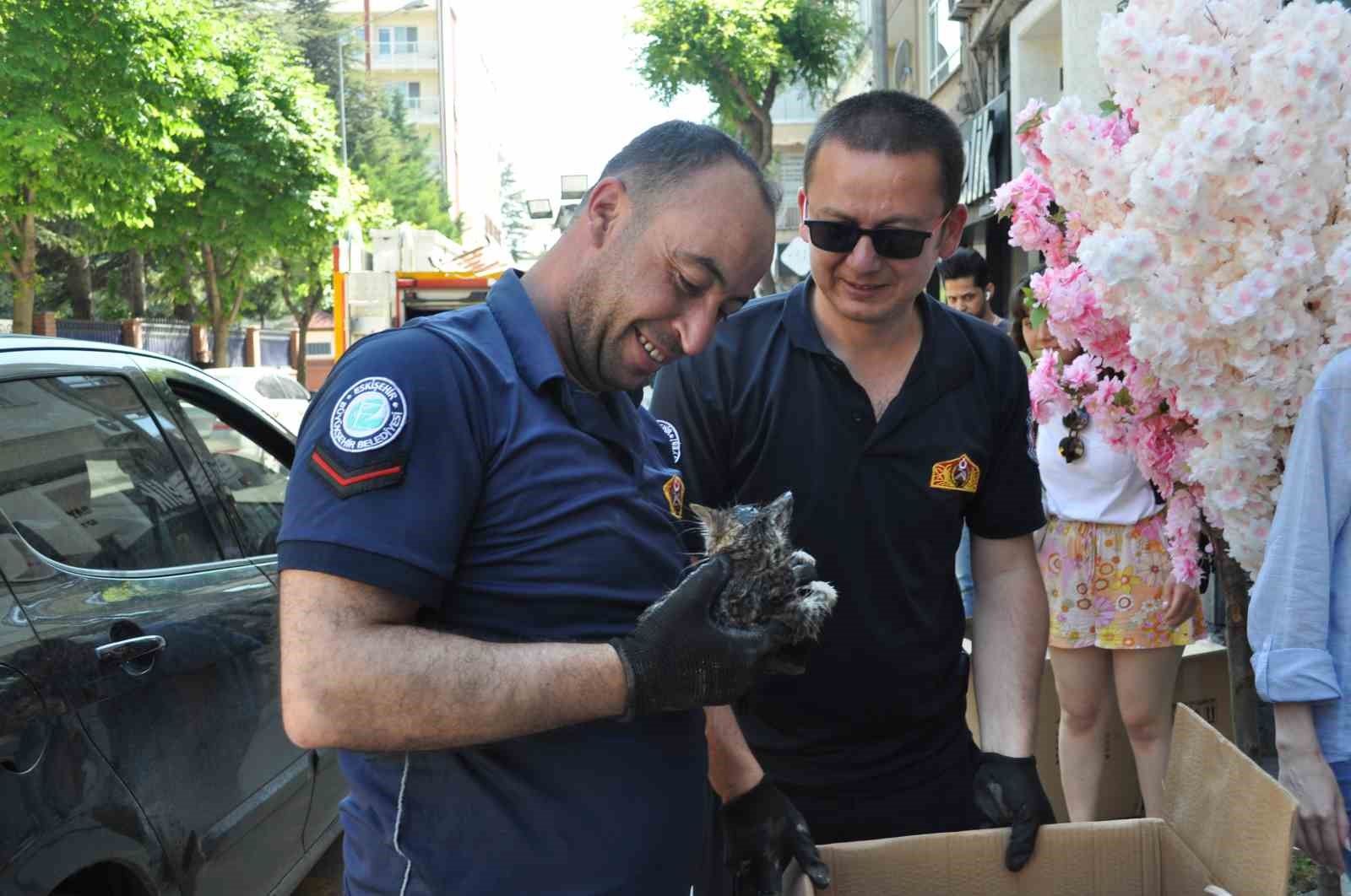 Eskişehir'de itfaiye ekipleri sevimli kedi için seferber oldu