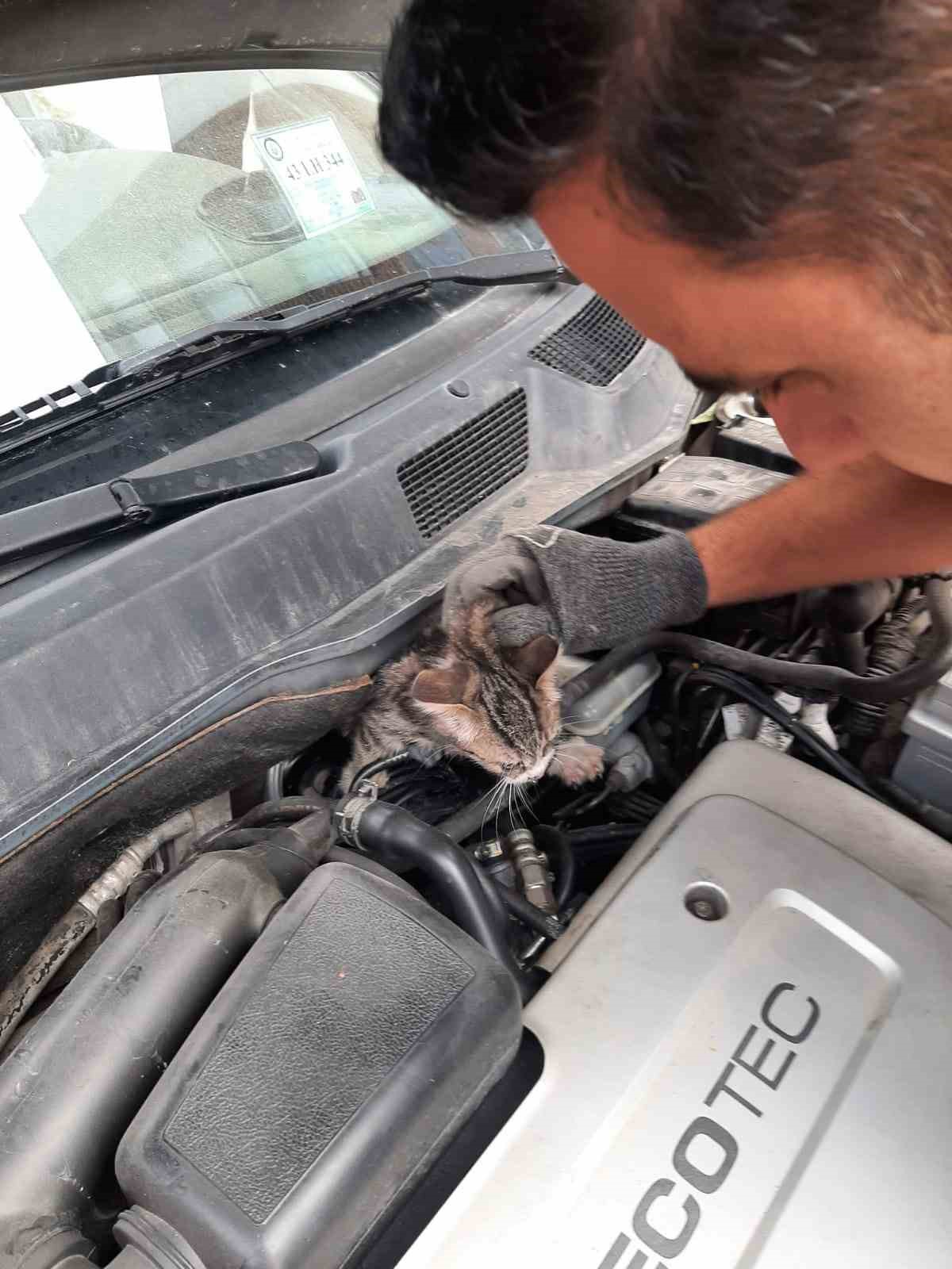 Kütahya'da Otomobilin Motoruna Sıkışan Yavru Kedi İtfaiye Ekiplerince Kurtarıldı.