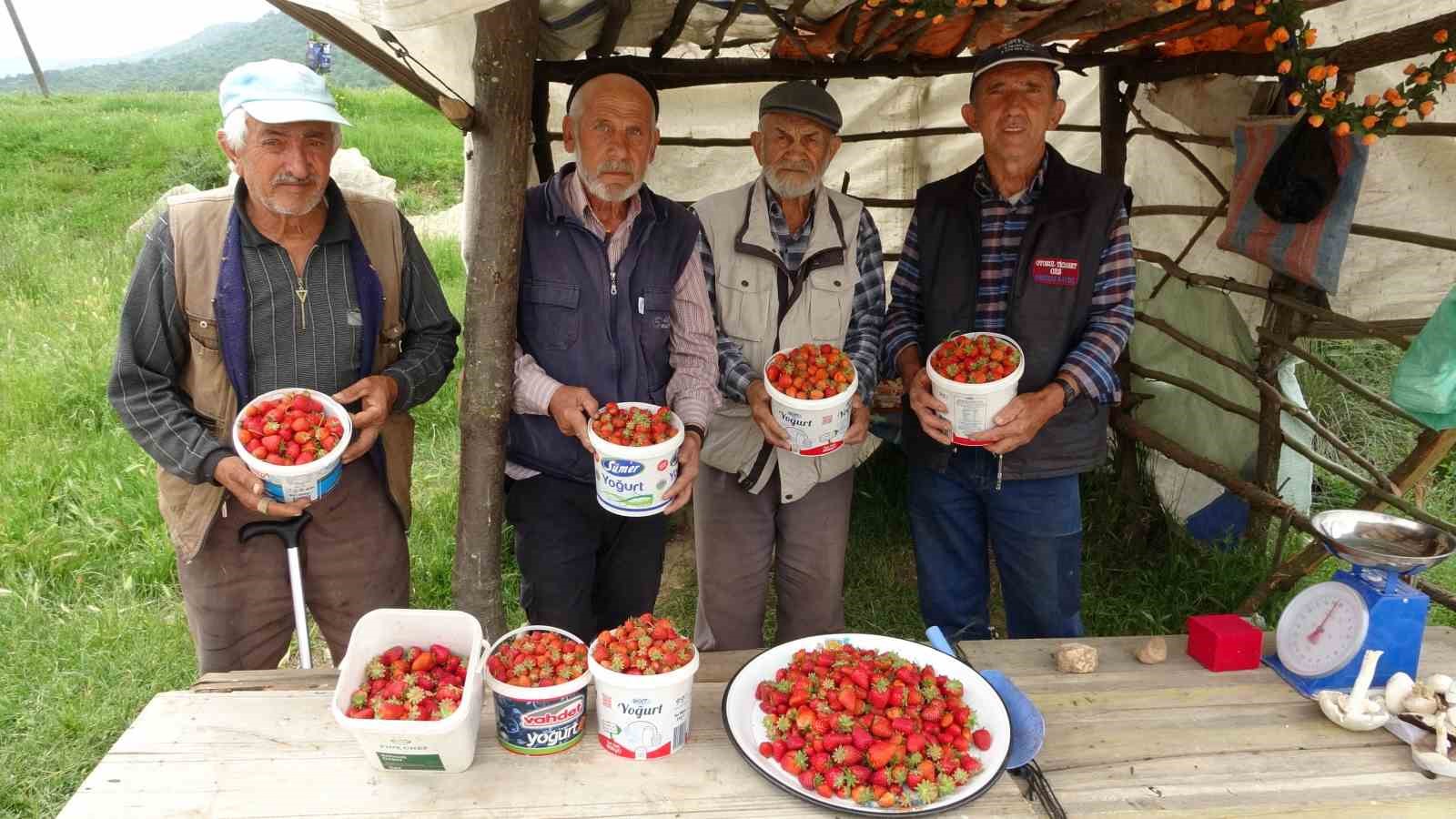 Kütahya'da 