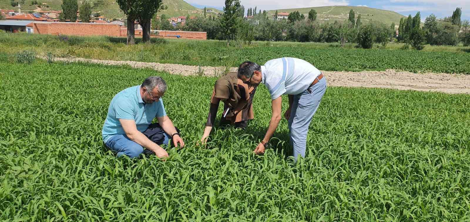 Afyonkarahisar'da çayır mera kontrolleri devam ediyor.