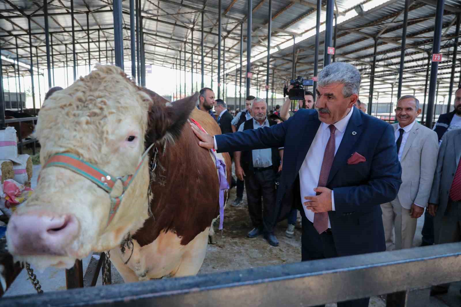 Kütahya'da Canlı Hayvan Pazaryeri'nde Kurban Pazarı açıldı.