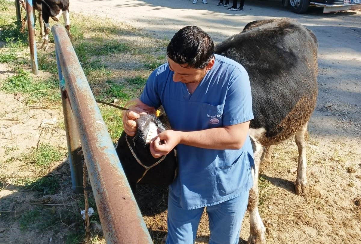 Hisarcık'ta Kurban Satış Alanlarında Denetim Gerçekleştirildi