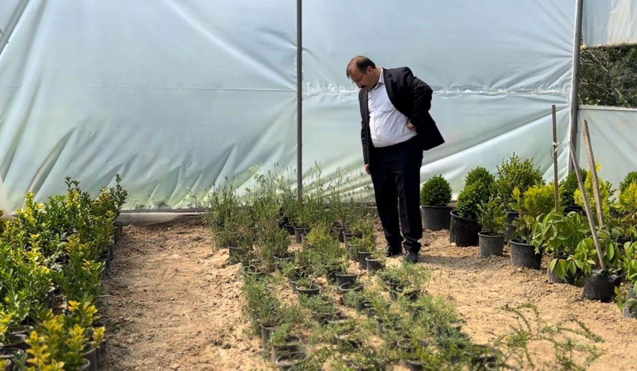 Emet Belediyesi Ata Tohumlarıyla Doğal Tarımı Destekliyor