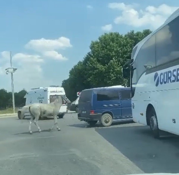 Eskişehir'de Minibüs Arkasında Koşturulan At.