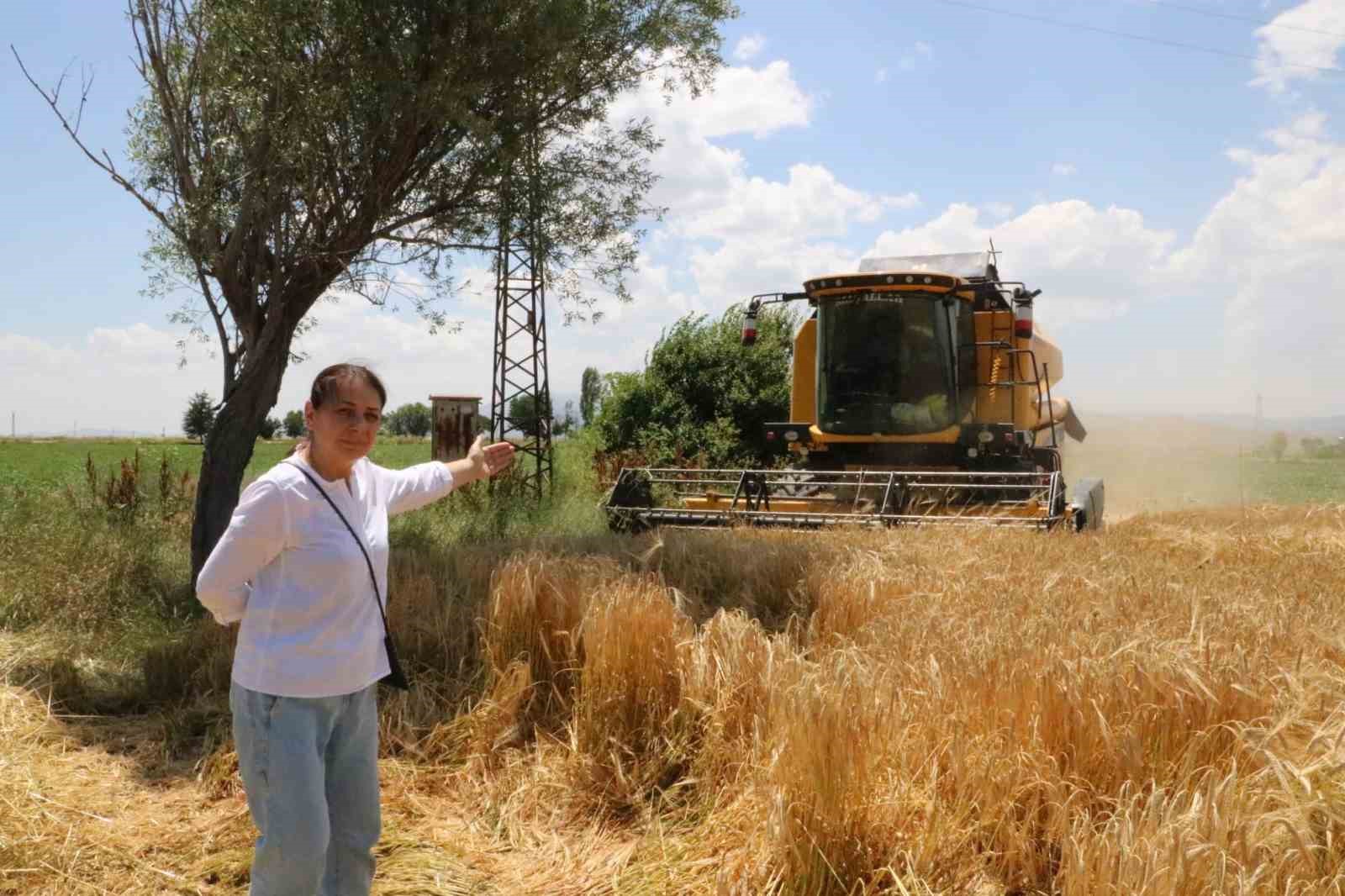 Afyonkarahisar'da Tarlada Arpa Hasadı Yapıldı