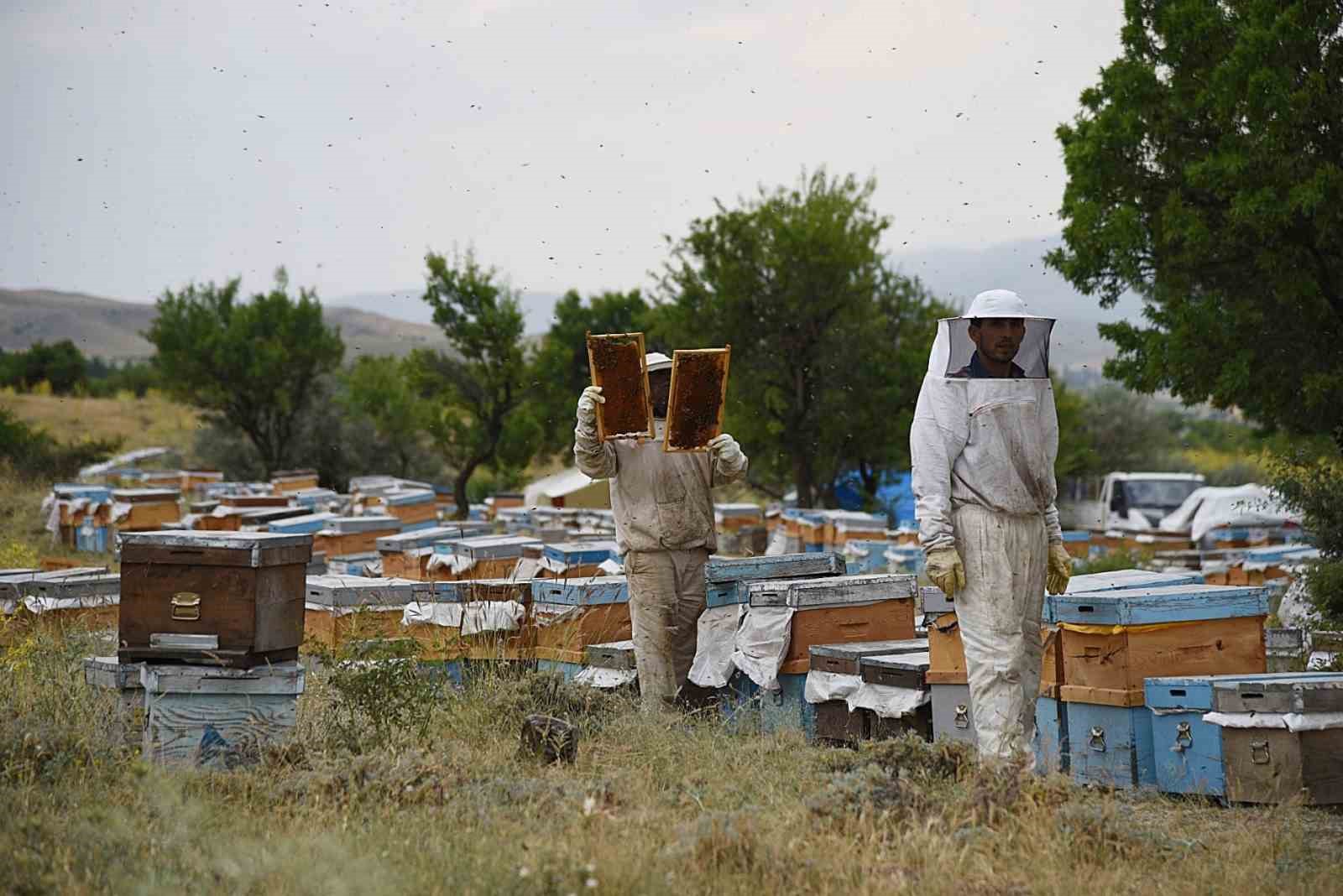 Eskişehir'de Fenni Arıcılık Kredileri Dağıtıldı.