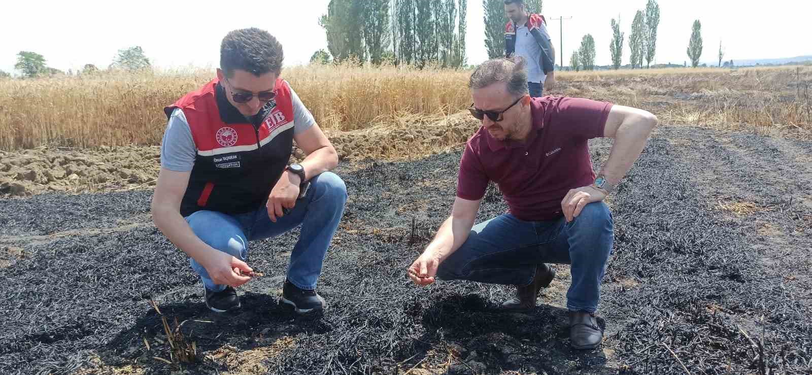 Atmacanın Elektrik Akımına Kapılmasıyla Çıkan Yangında 60 Dönüm Tarla Zarar Gördü