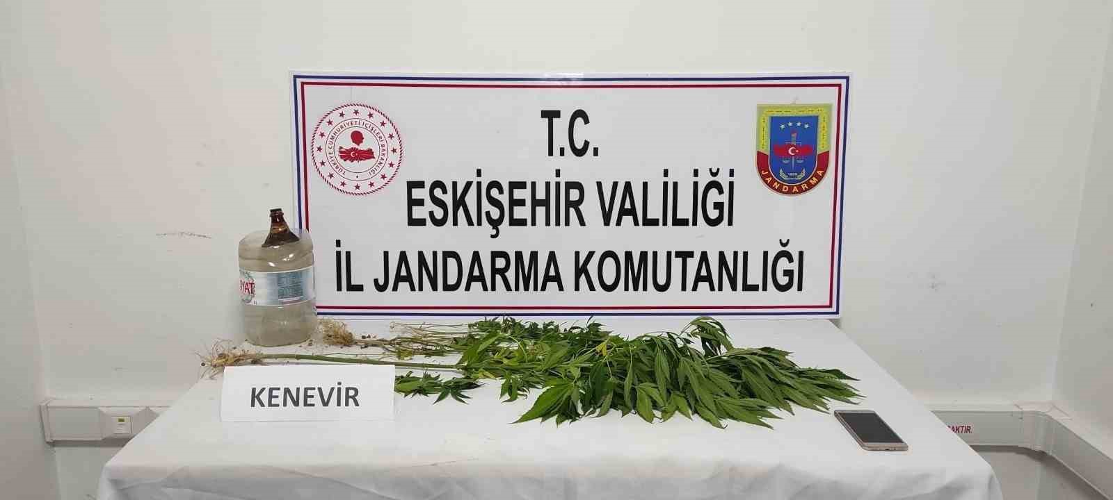 Eskişehir'de mezarlığa kenevir eken şahıs yakalandı.