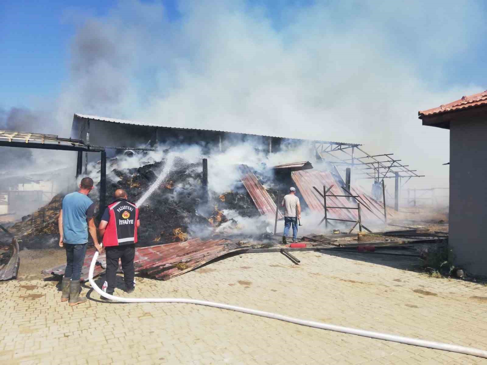 Pazaryeri'deki At Çiftliğinde Çıkan Yangın Sürüyor