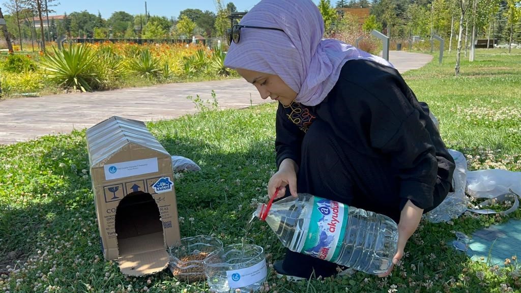 Eskişehir Ülkü Ocaklarından Sokak Hayvanlarına Destek