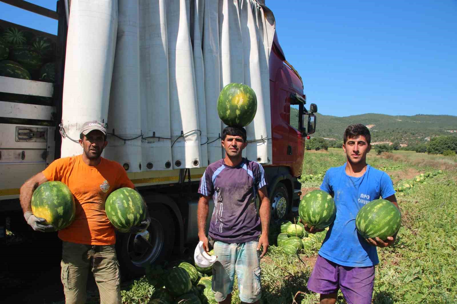 Osmaneli karpuzunun rekolteden ve fiyatlardan memnun olan üreticiler, ihracatta başarı sağlıyor.