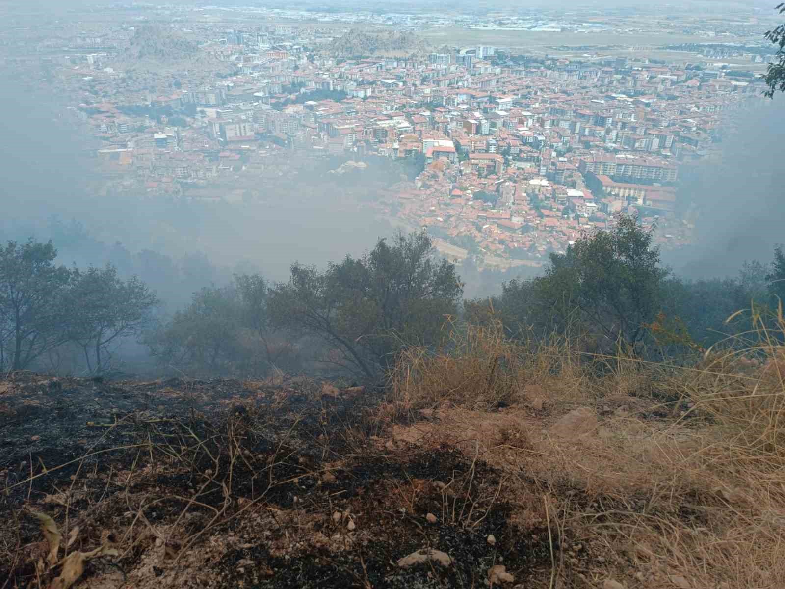 Afyonkarahisar'da çıkan orman yangını 1,5 saatin sonunda söndürüldü