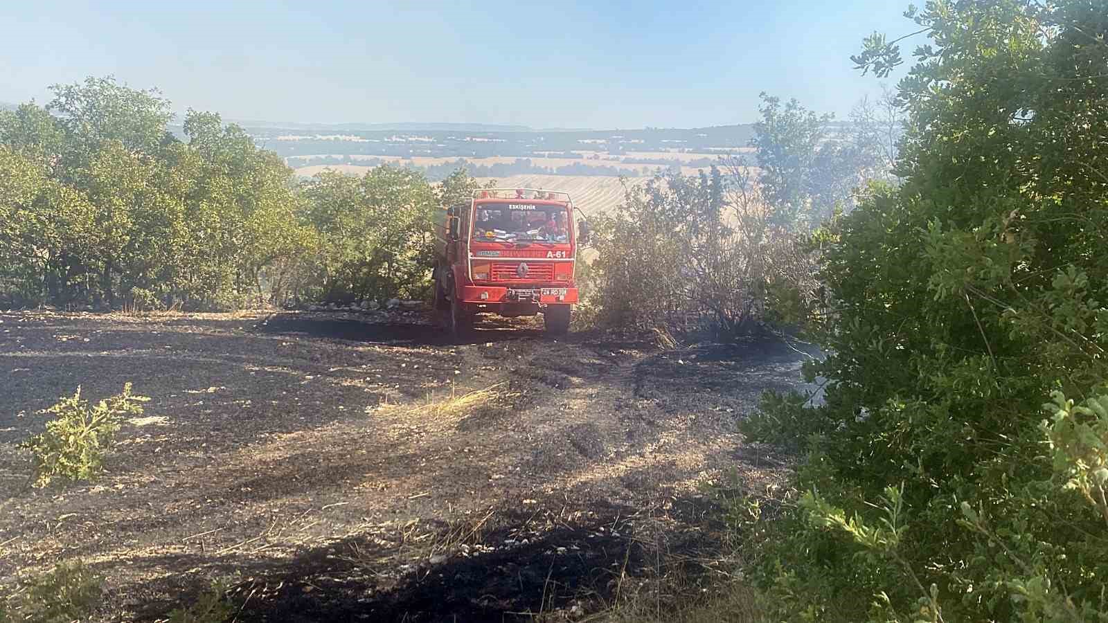 Eskişehir'deki Yangında Tarla ve Orman Yanıp Kül Oldu.