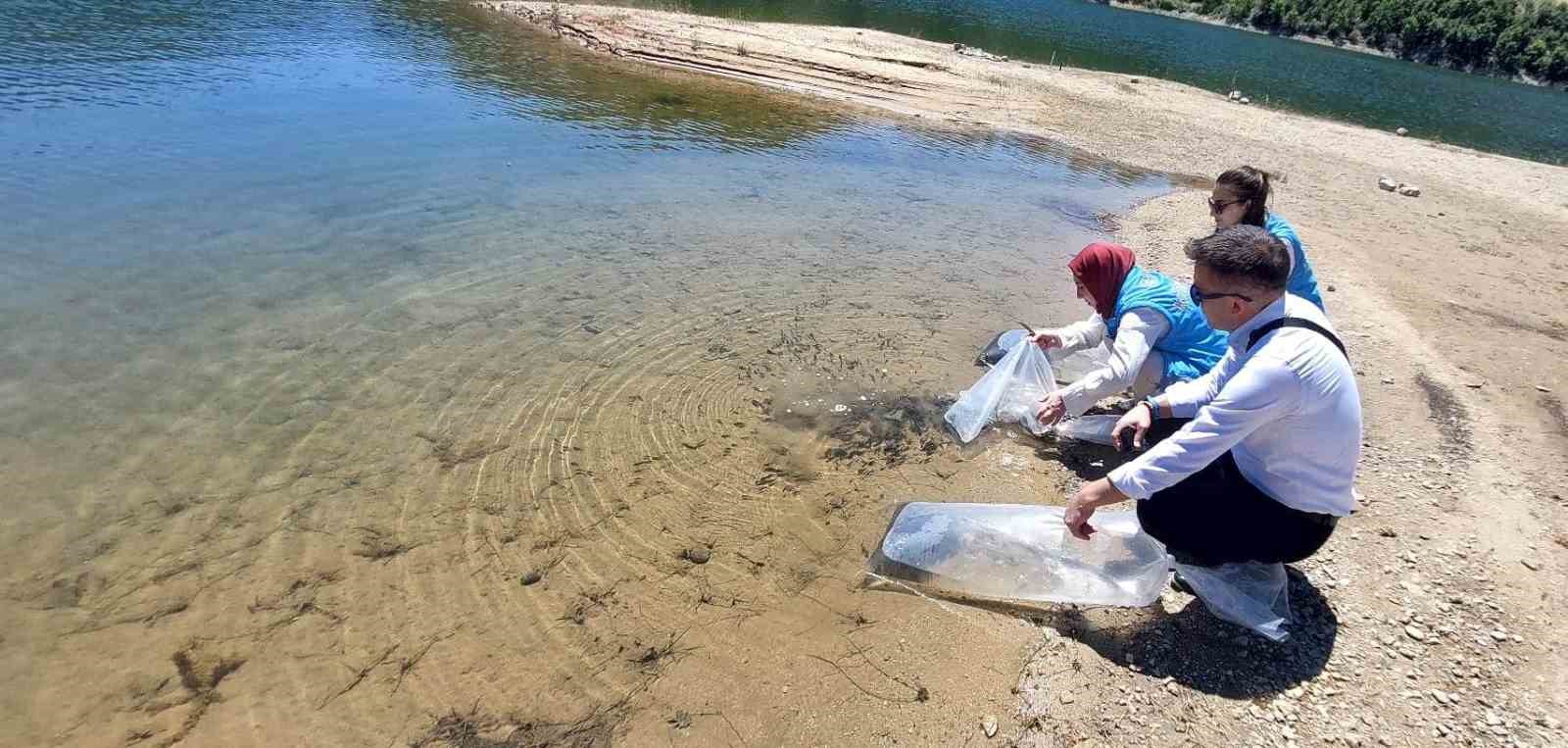 Hisarcık'ta Baraj ve Göletlere 60 Bin Aynalı Sazan Bırakıldı