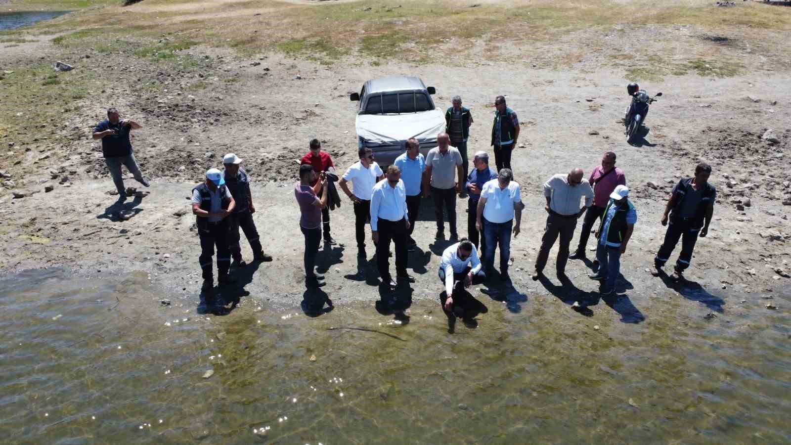 Kütahya'daki Kuruçay Göletine 19 Bin Yavru Sazan Salındı