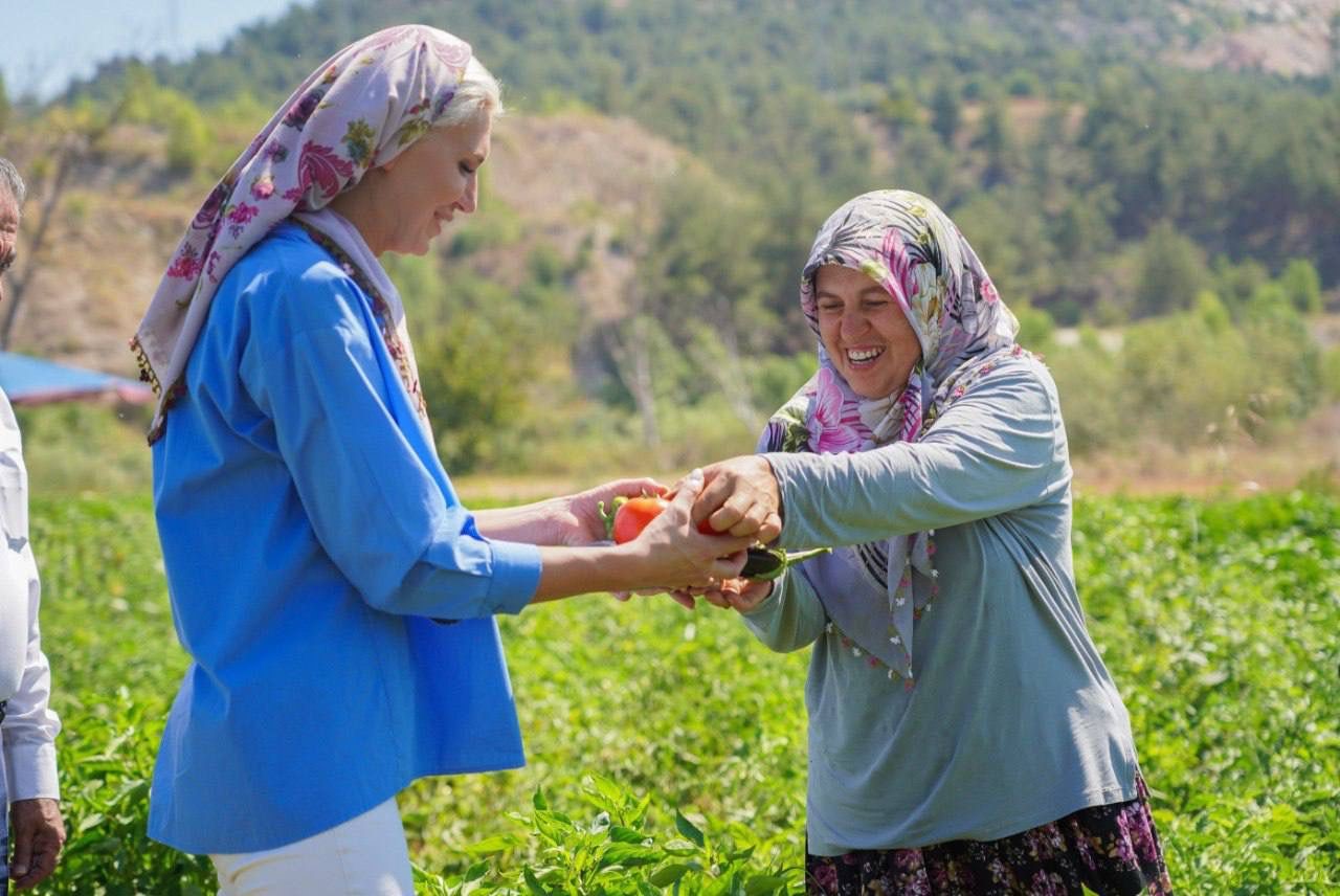 Bilecik Tarımına Destek: 180 Bin Fide Toprakla Buluştu