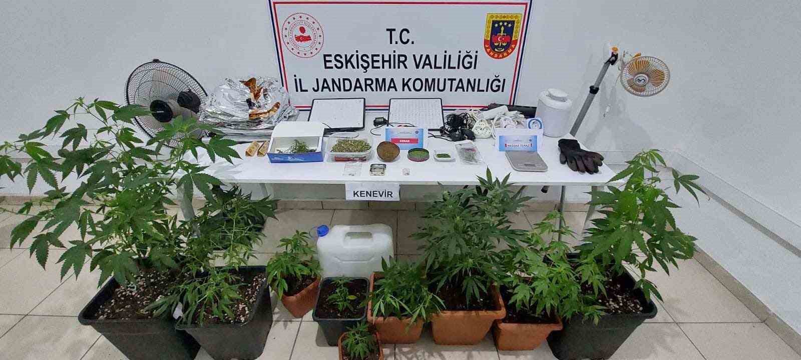 Eskişehir'de uyuşturucu yetiştiren bir şahıs gözaltına alındı