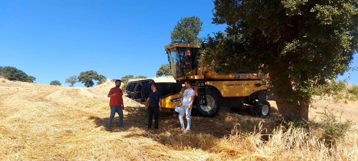 Gediz'de Biçerdöver Kontrolleri Başladı