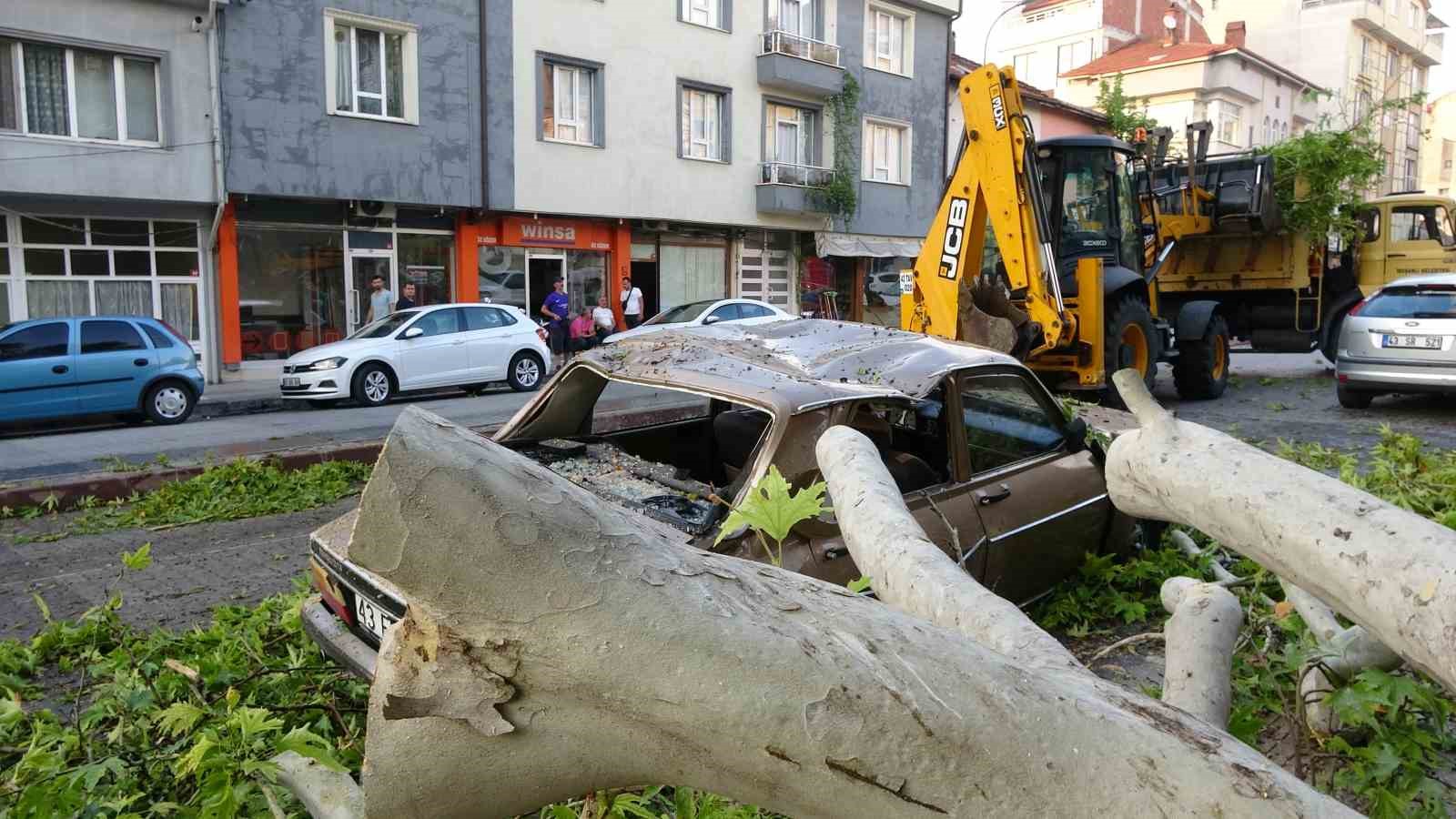 Asırlık çınar ağacı otomobilin üzerine düştü.