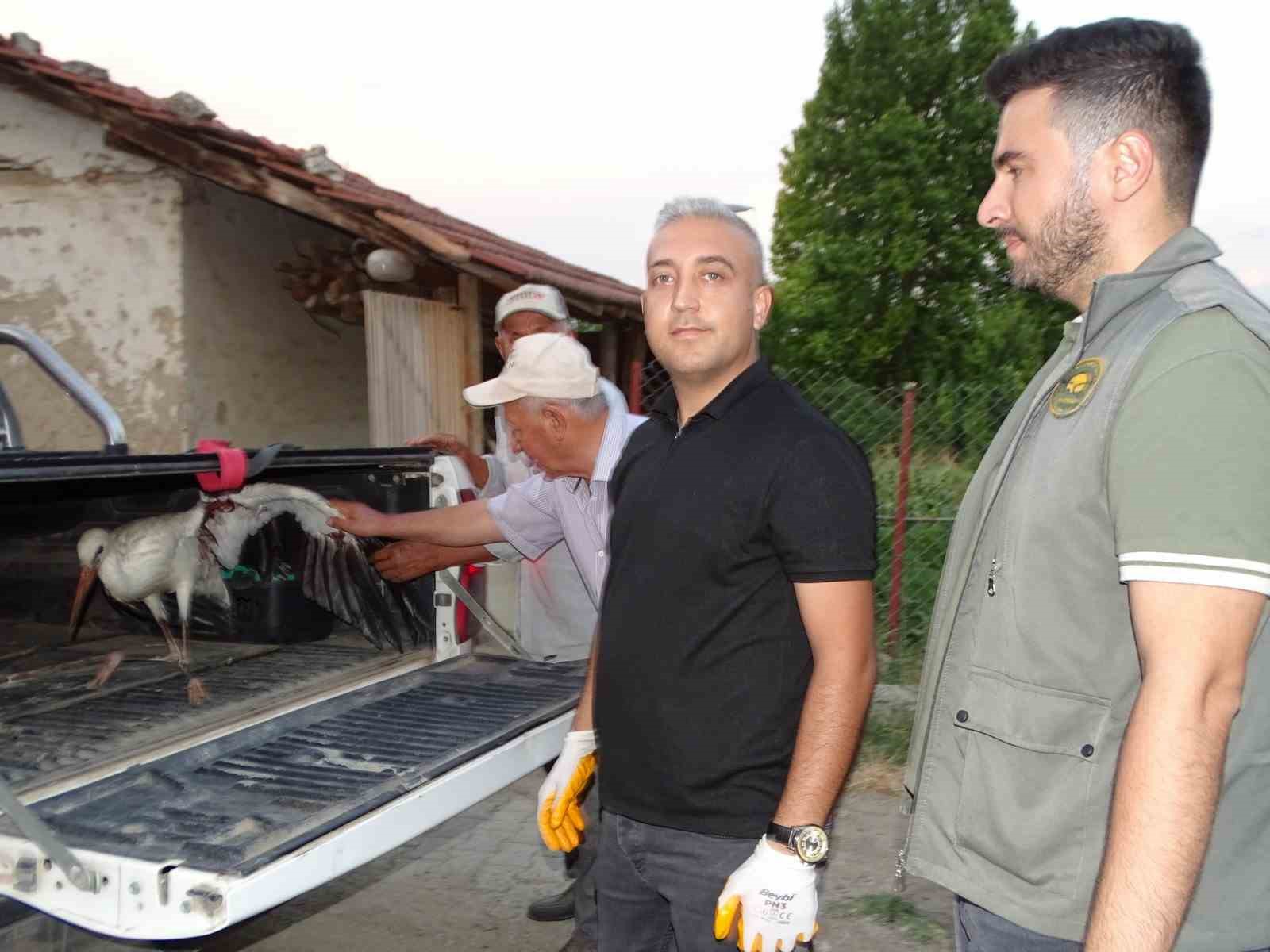 Kütahya'da yaralı leylek tedavi altına alındı