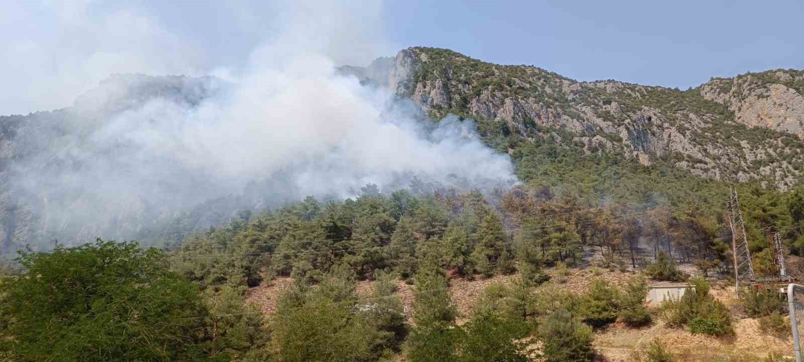 Bilecik'teki orman yangını kontrol altına alınmaya çalışılıyor.