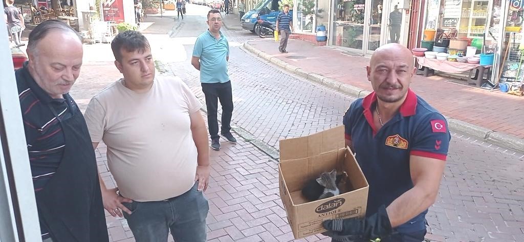 Tavşanlı'da Mahsur Kalan Yavru Kedi Kurtarıldı.