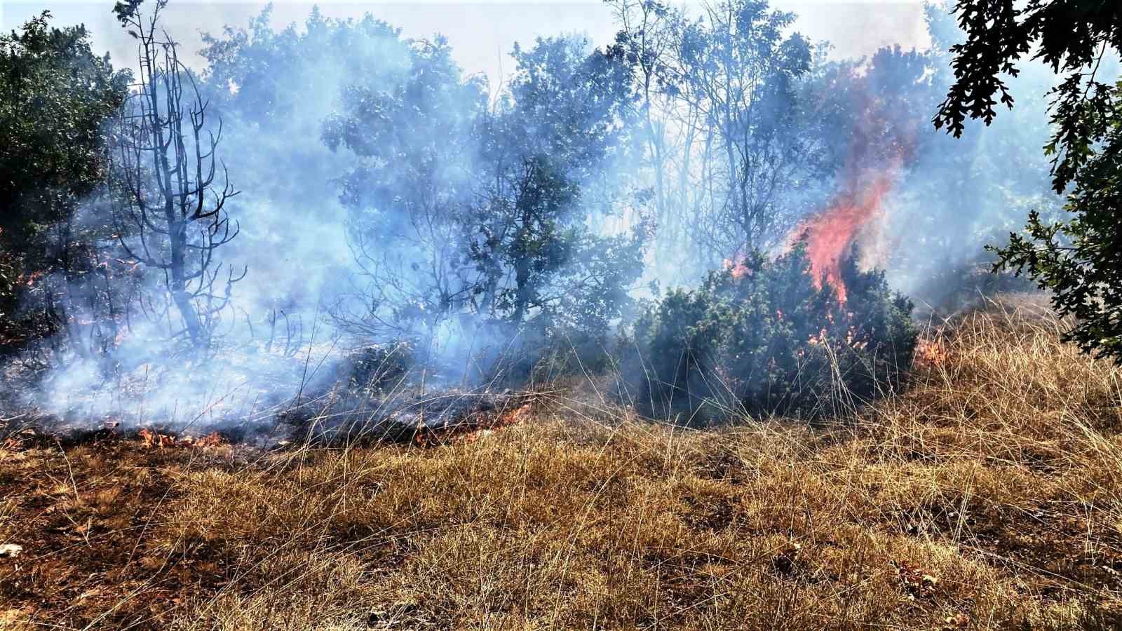 Kütahya'da çıkan orman ve arazi yangınları kontrol altına alındı.