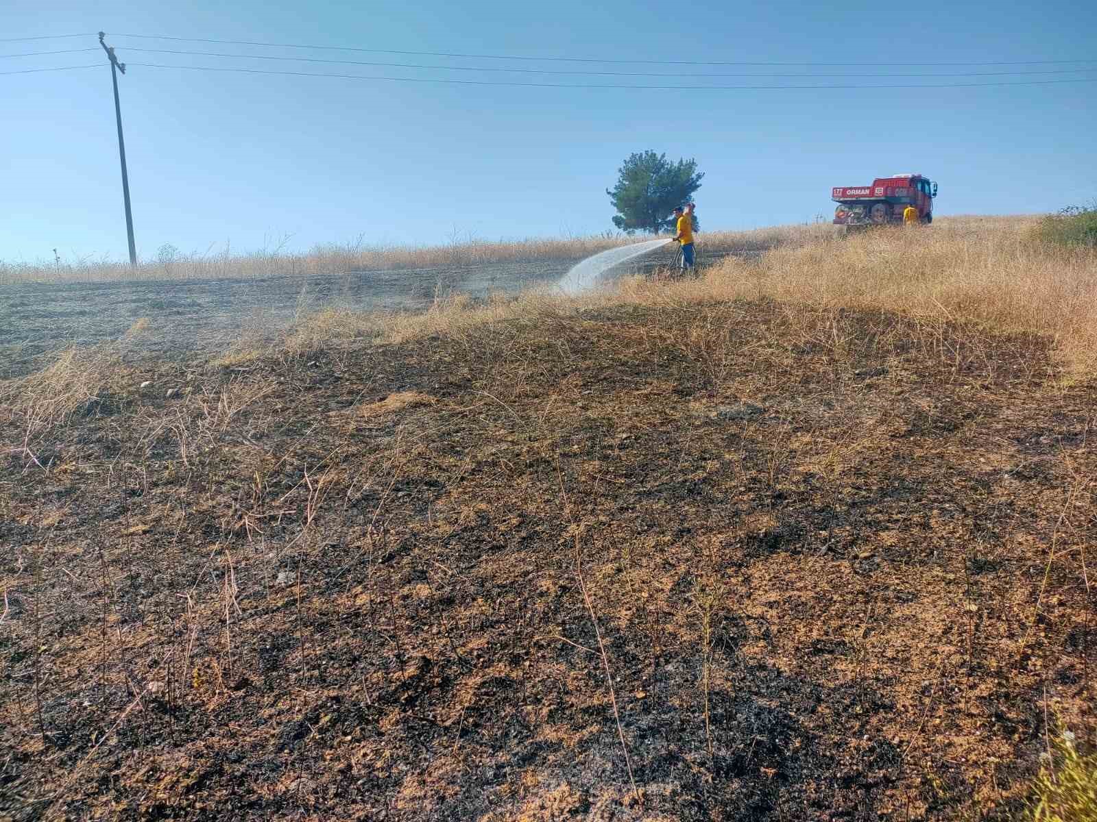 Bilecik'te Kuşun Elektrik Teline Çarpmasıyla Çıkan Yangın Kontrol Altına Alındı