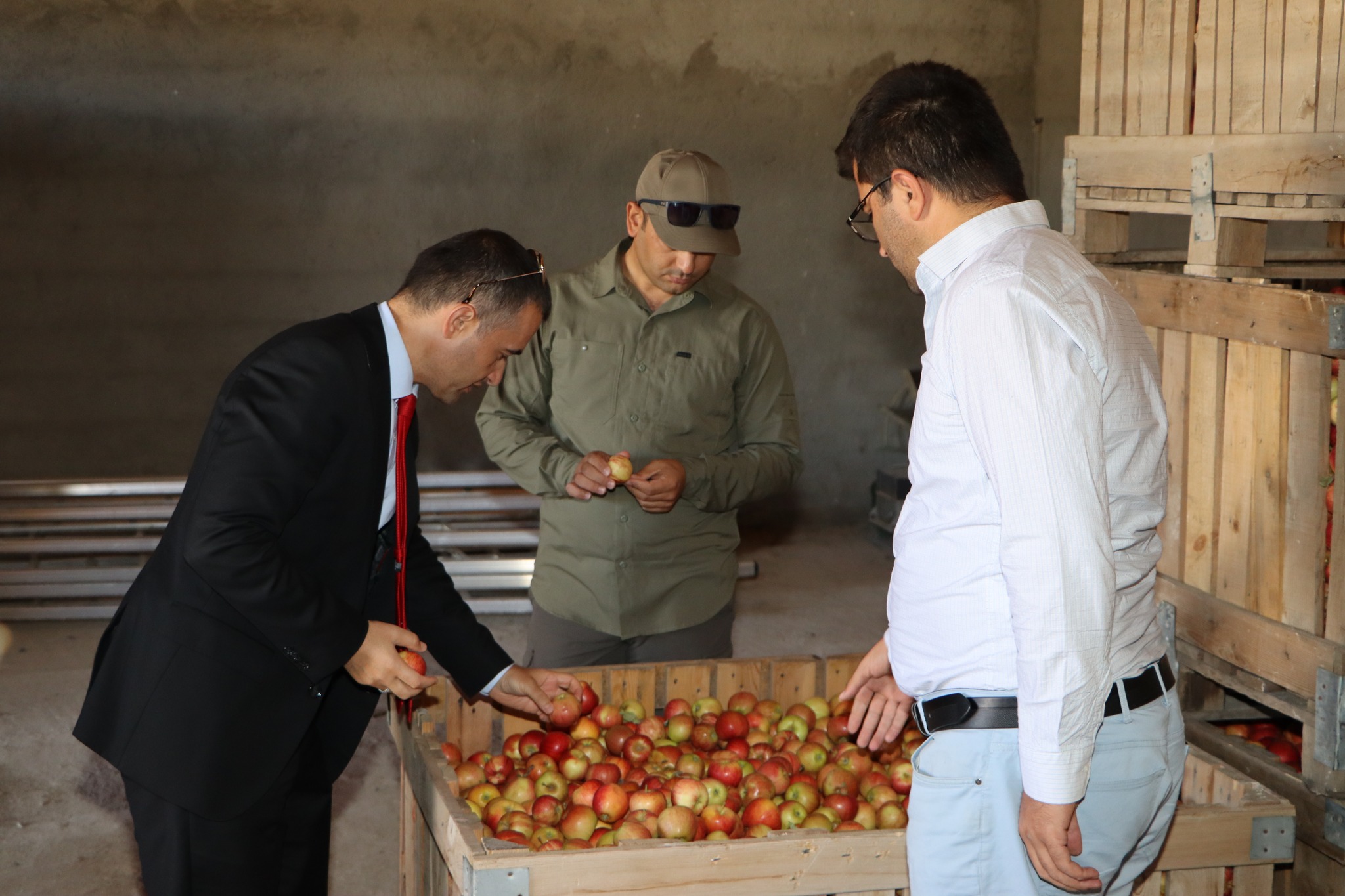 Kaymakam Bilici, Topsu Tarımı Ziyaret Etti.