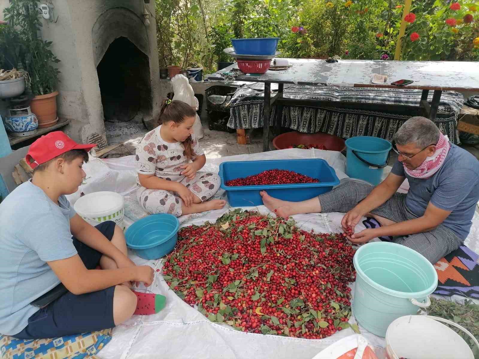 Kızılcık Üretiminde Düşüş: Fiyatlar Yükseldi