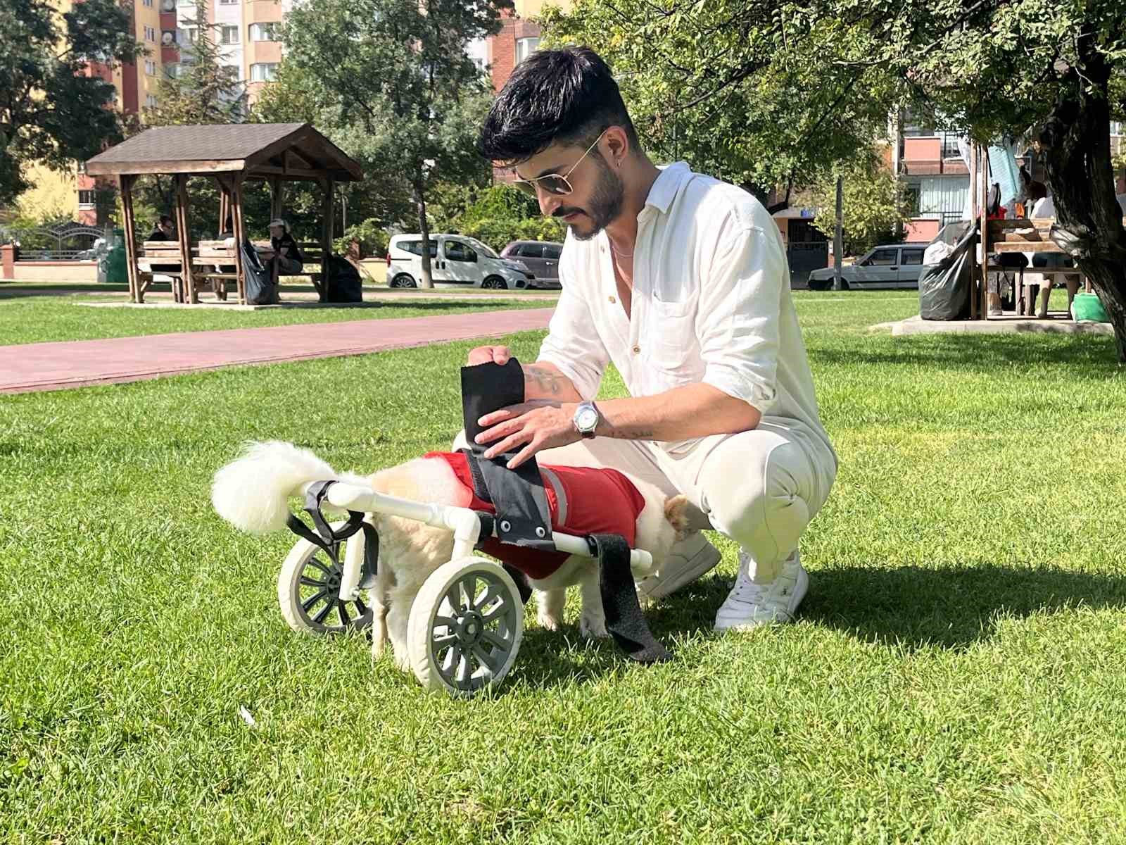 İstismar mağduru köpek felç olduğunda sahibi Müslüman oldu