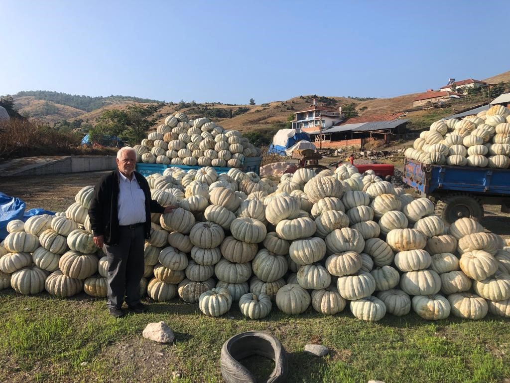 Türkiye'de Kestane Kabağı Üretimi Rekor Seviyede