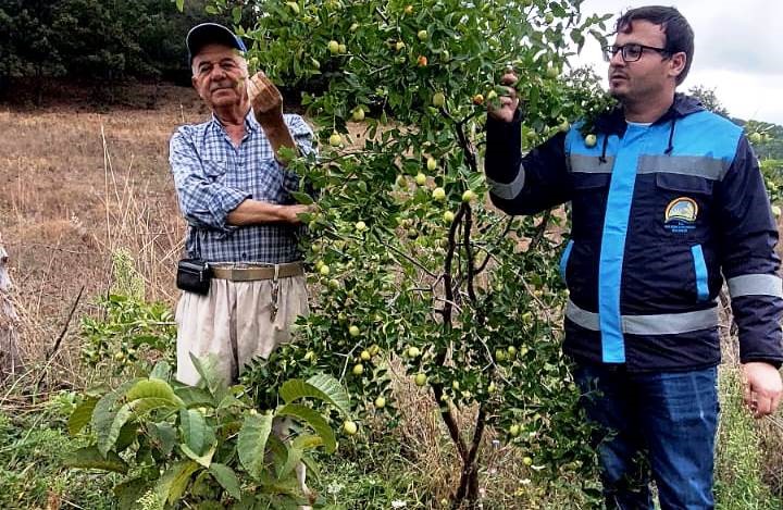 Güldüren Köyü'nde Meyve Üretimi İçin Bilgilendirme Yapıldı.