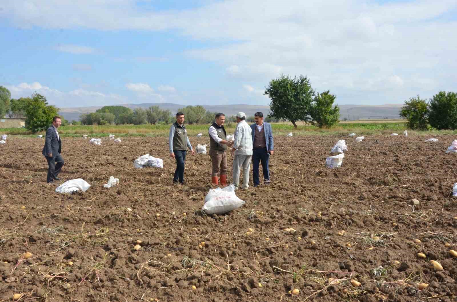 Afyonkarahisar'ın Şuhut ilçesinde patates hasadı başladı