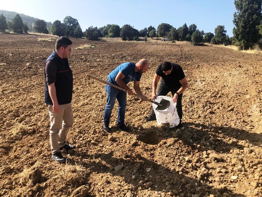 Emet İlçe Tarım Müdürlüğü Toprak Analizi Yaptı