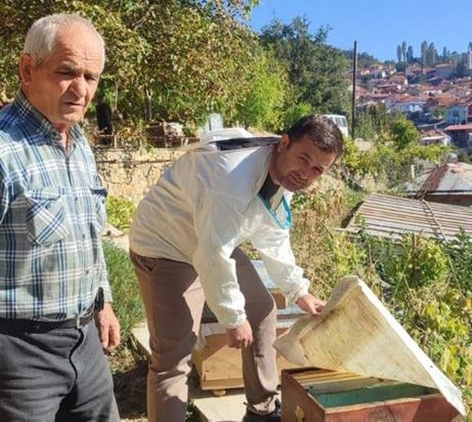 Simav İlçe Tarım ve Orman Müdürlüğü arı kovanı sayımına devam ediyor.