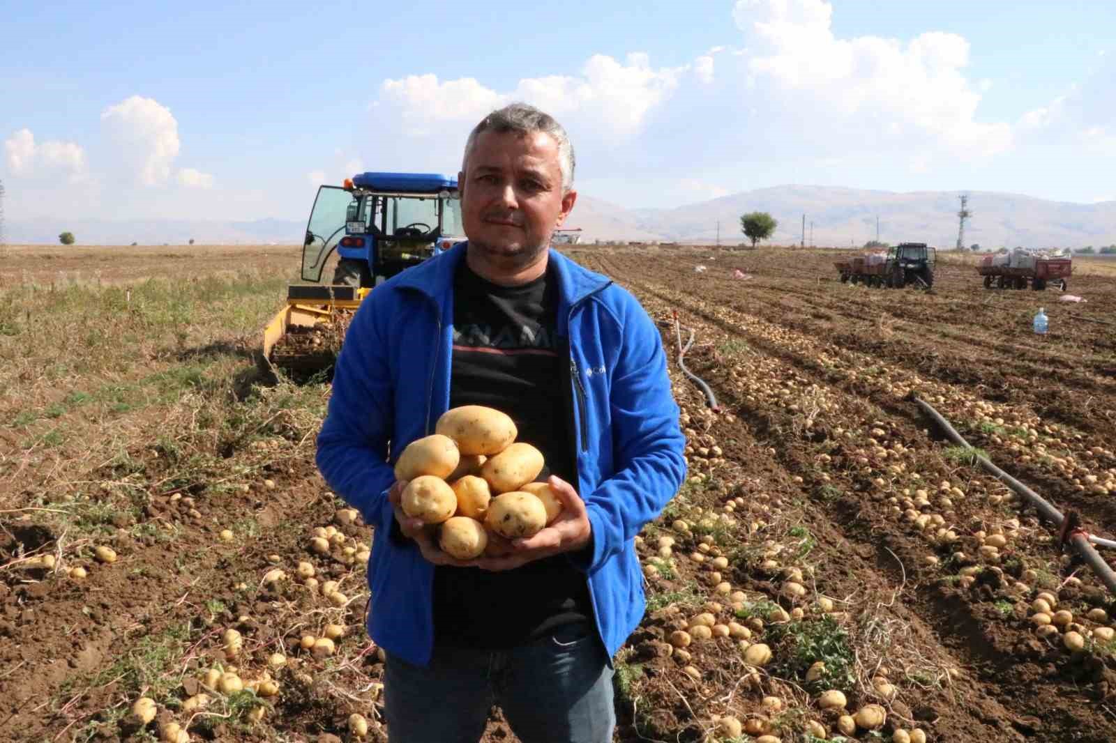 Sandıklı'da Patates Hasadı Başarılı Ancak Rekolte Düşük