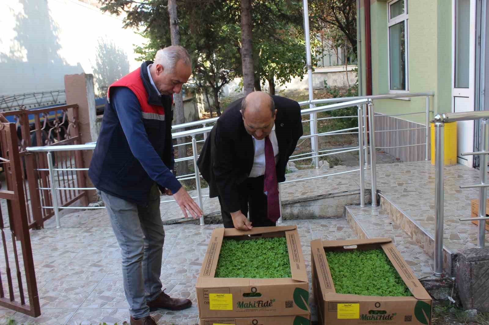 Osmaneli'de Çiftçilere Kışlık Sebze Projesi Destek