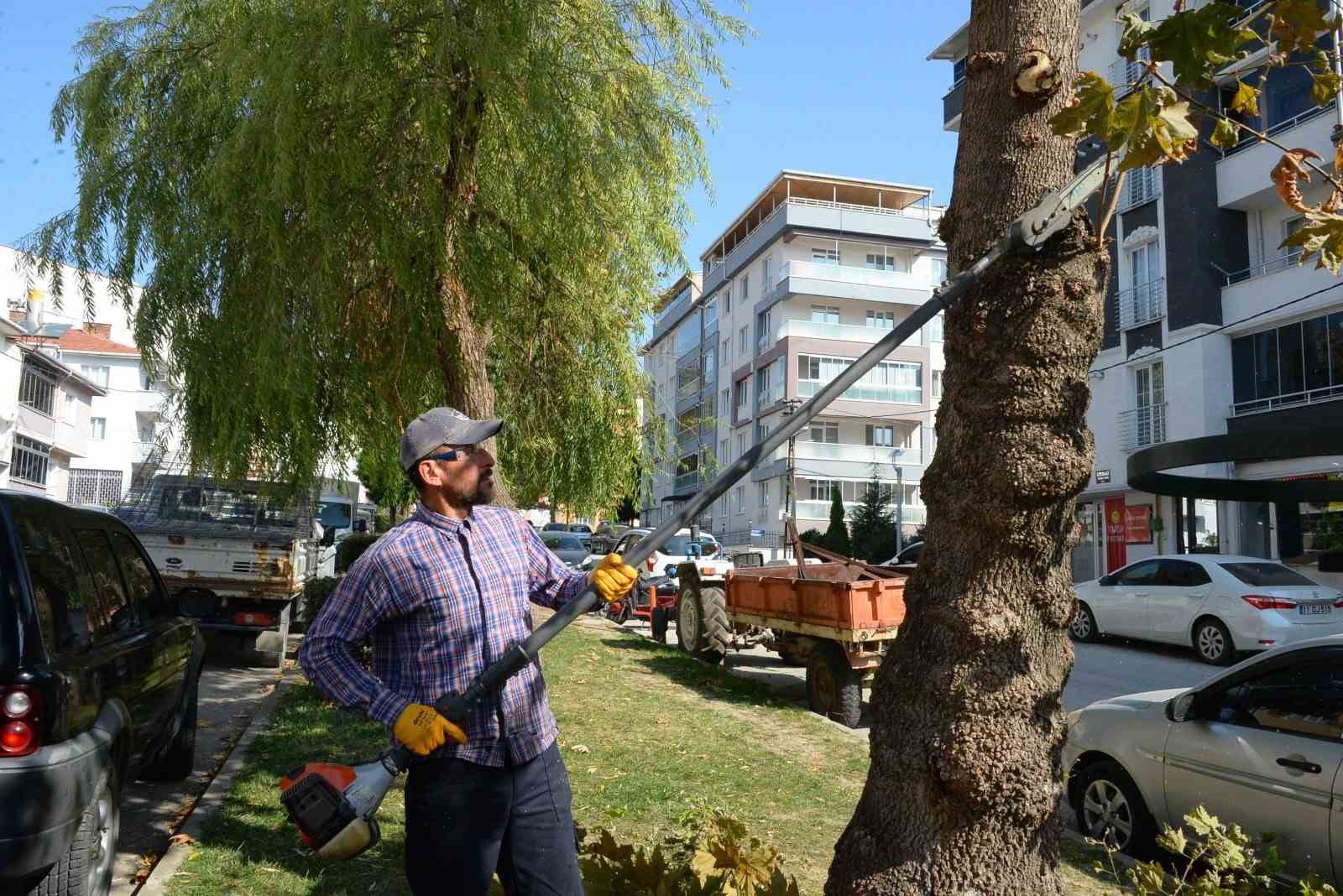 Bozüyük Belediyesi Yeşil Alanlarda Çalışmalara Devam Ediyor