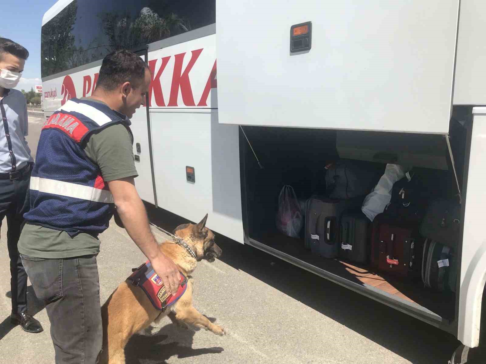 Eskişehir'de 42 düzensiz göçmene 488 bin TL ceza!