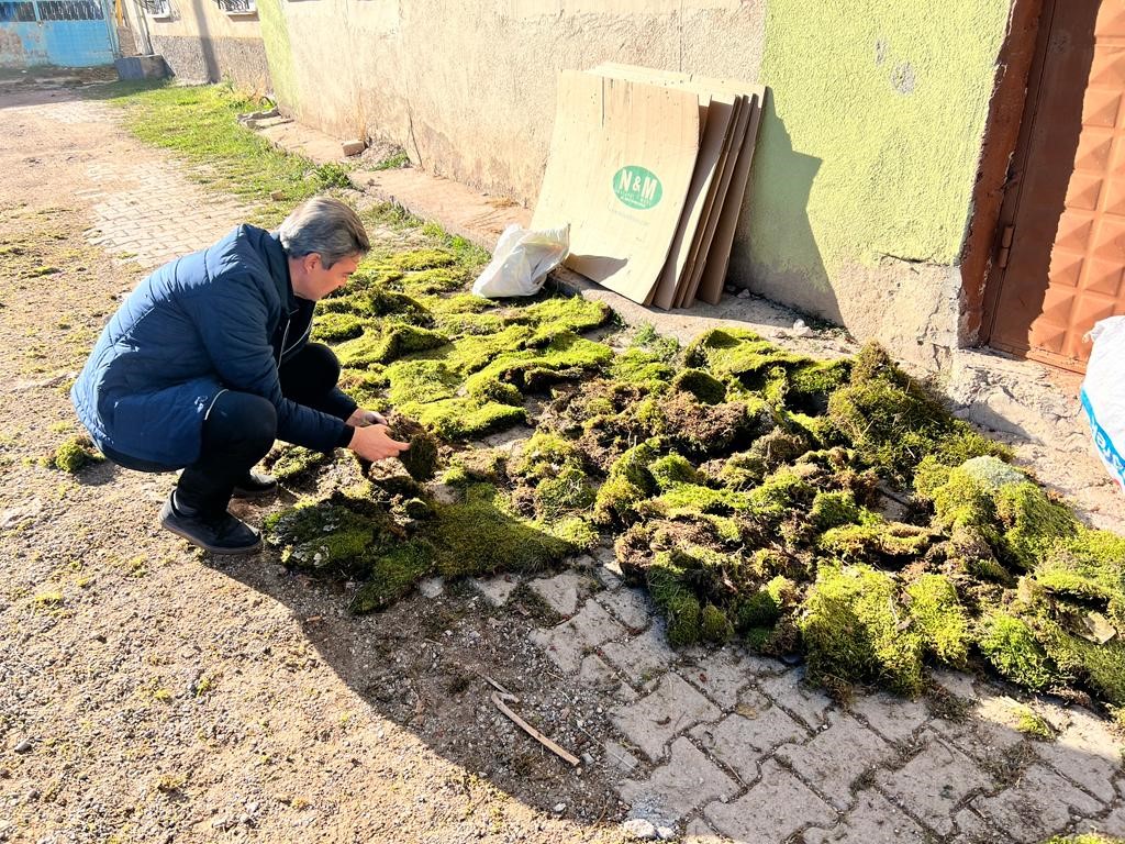 Kütahya'da Hisarcık'ta Yosun İhracatı Sınır Kontrolü