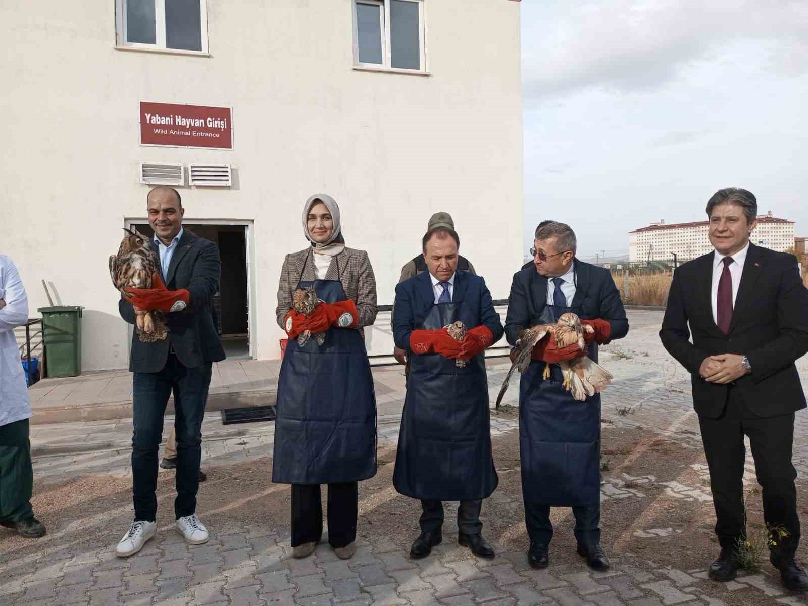 Afyonkarahisar'da Tedavi Görmüş 4 Yırtıcı Kuş Doğaya Salındı.