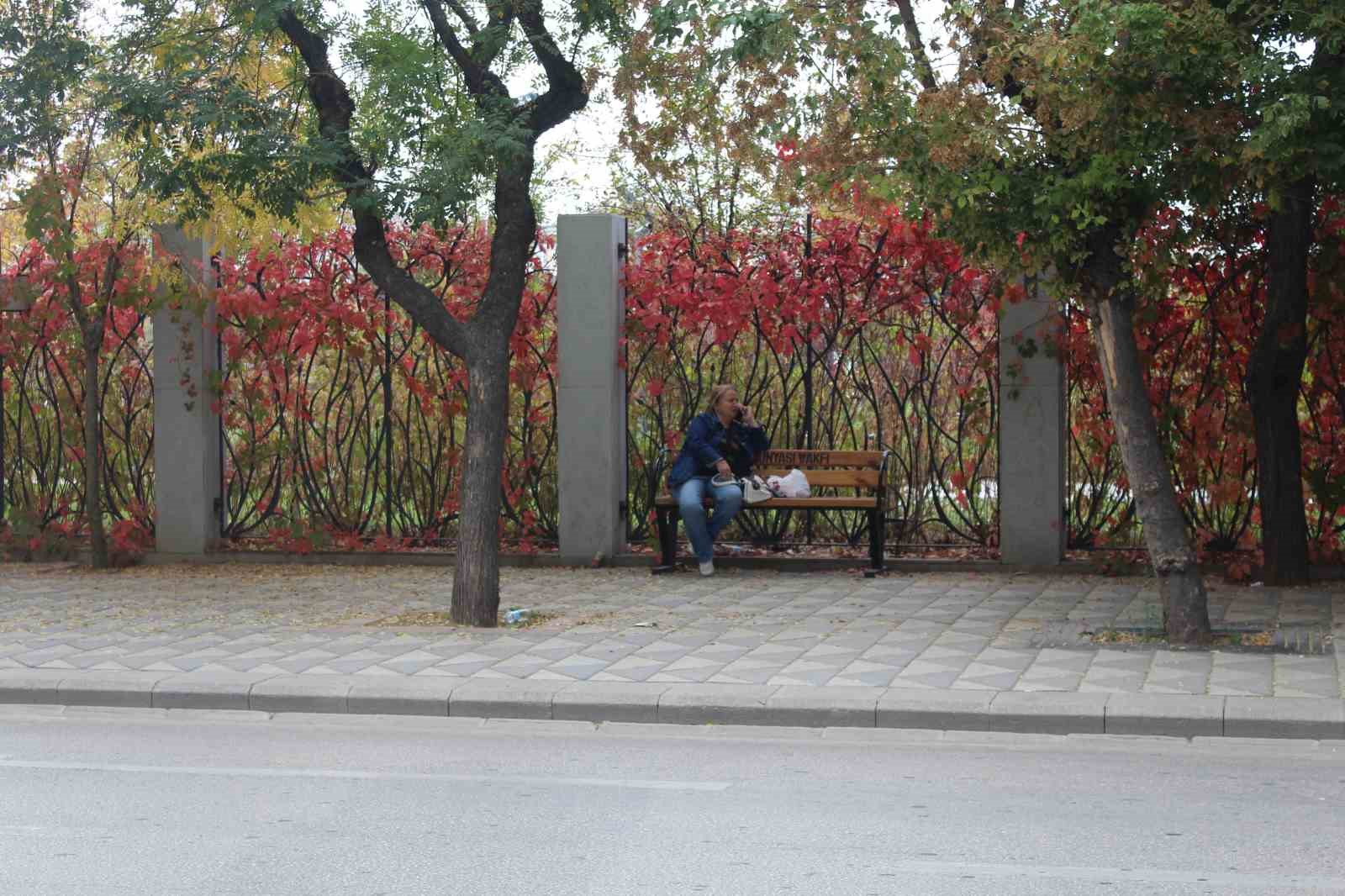 Eskişehir'de Sonbahar Renkleri Göz Kamaştırıyor