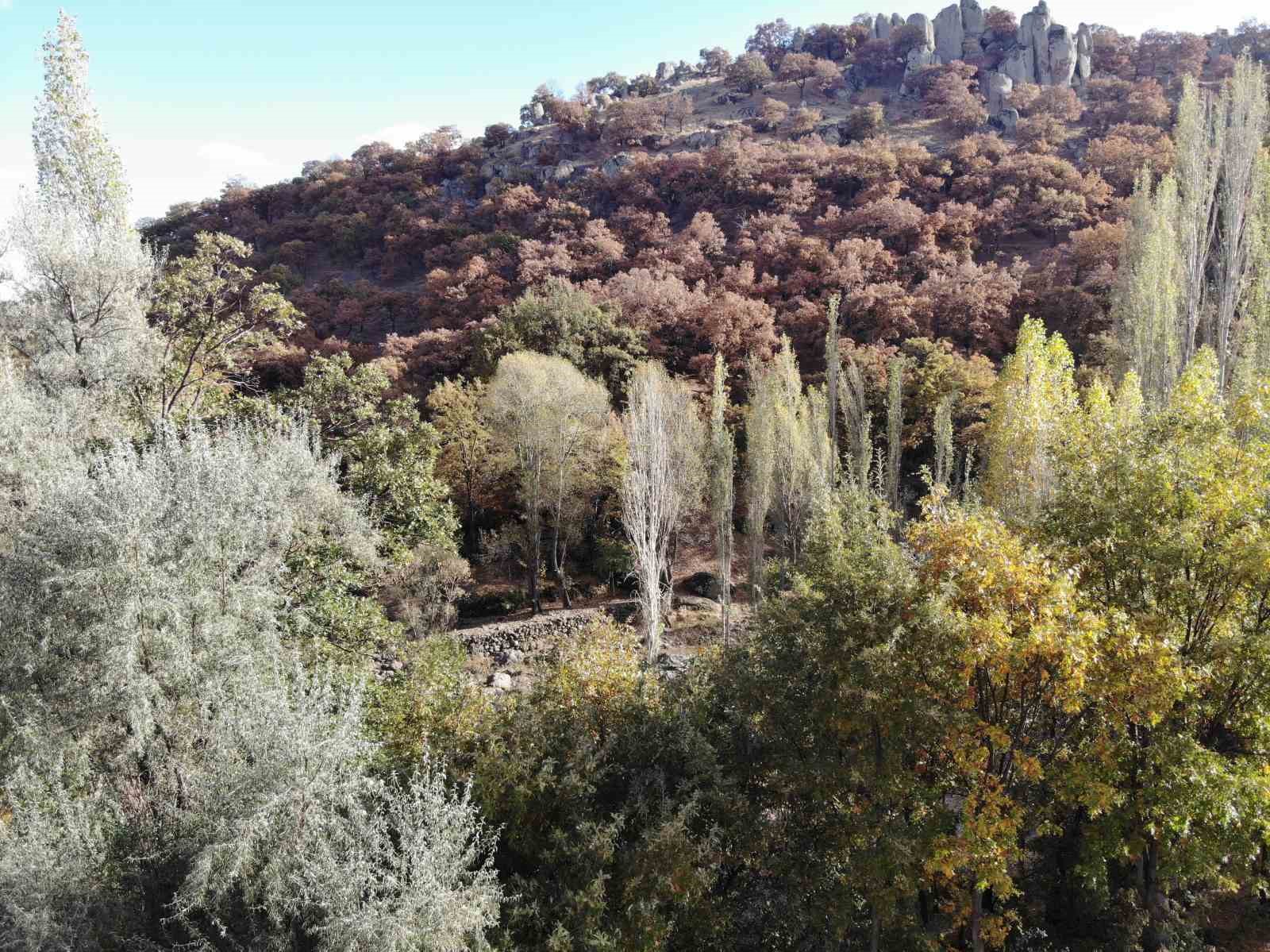 Afyonkarahisar'da Sonbahar Renkleri Hayran Bıraktı