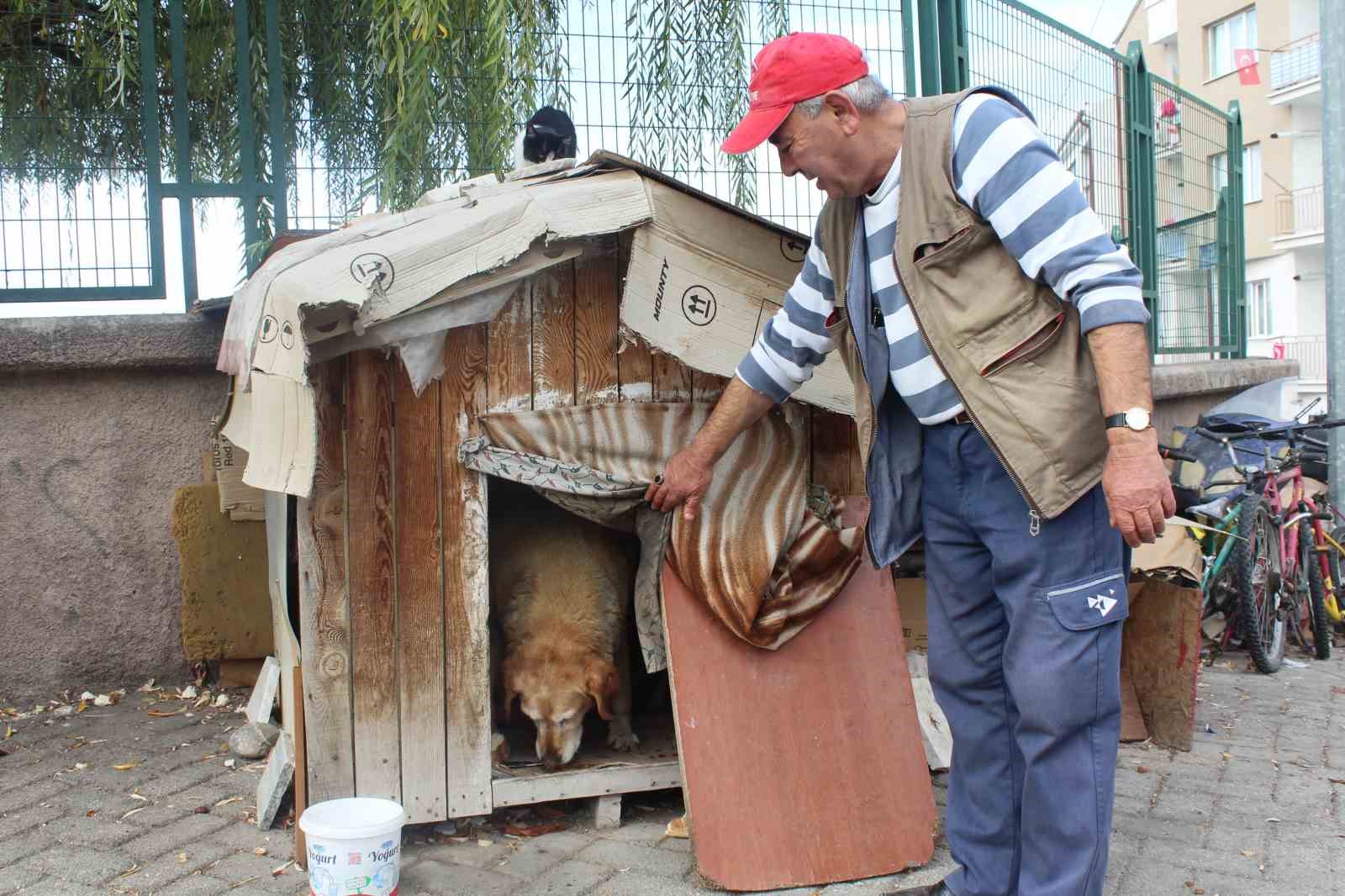 Eskişehirli Mehmet'in Kedilere 22 Yıllık Sevgisi