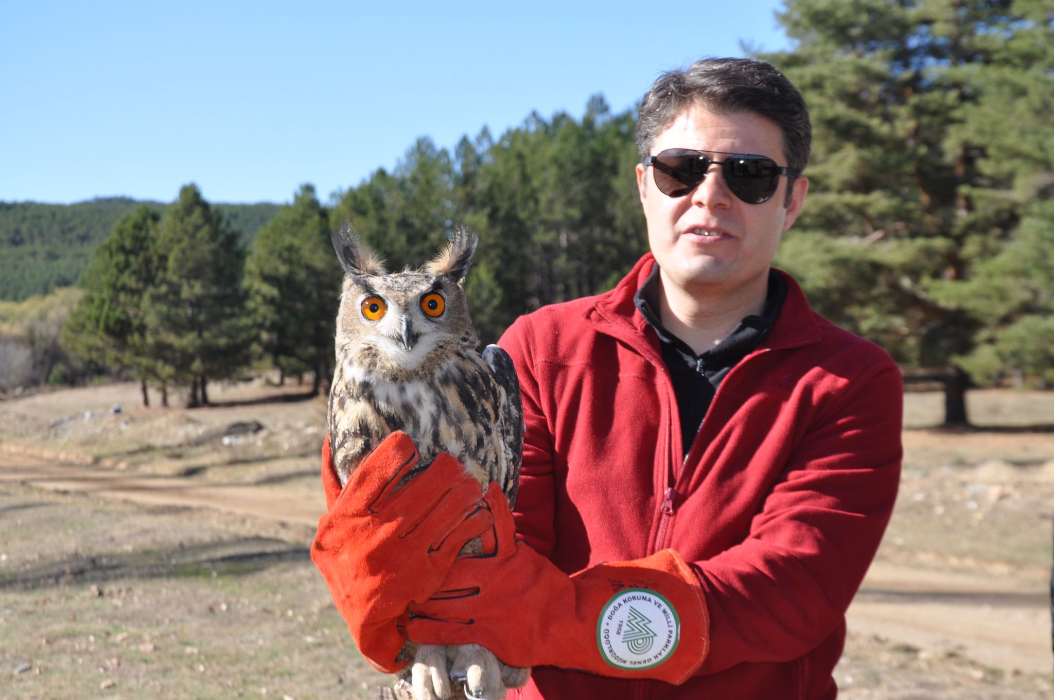 Afyon'da Yaralı Hayvanlar Doğaya Salındı